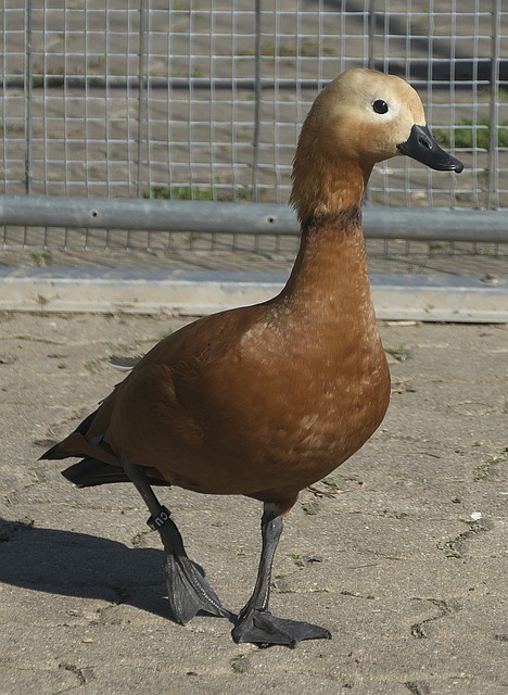 01812